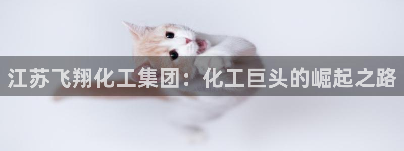 球盟会黑款吗
