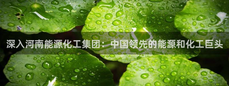球盟会官方app首页入口：深入河南能源化工集团：中国领先的能