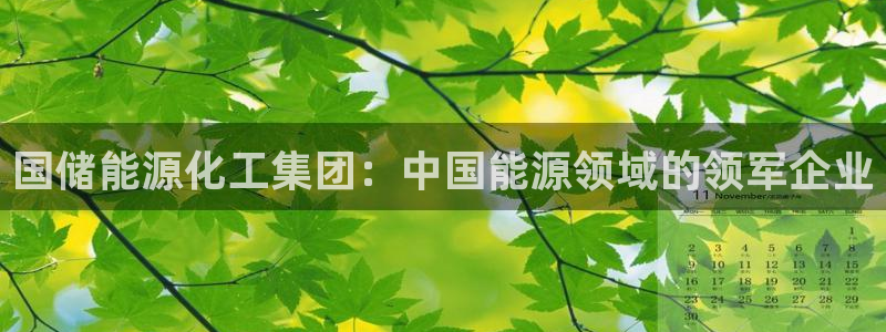 球盟会手机网页版：国储能源化工集团：中国能源领域的领军企业