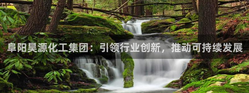 球盟会可以提现么现在