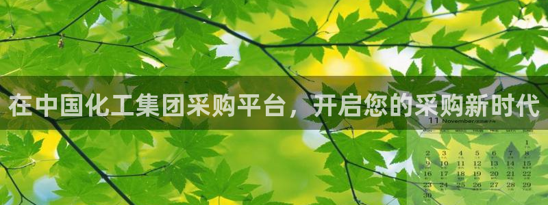 球盟会最新网