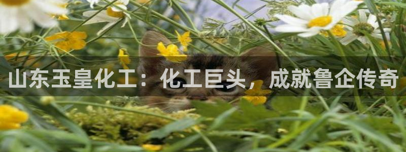 球盟会游戏
