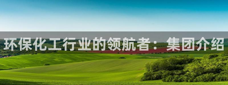球盟会进不去吗