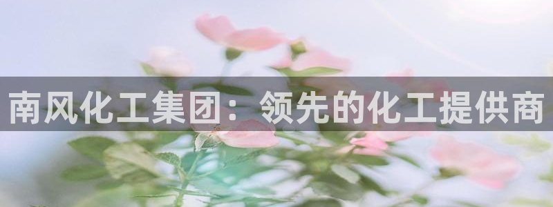 球盟会登录网址：南风化工集团：领先的化工提供商