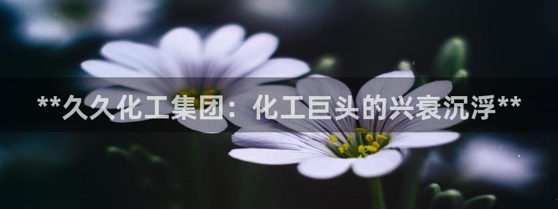 球盟会