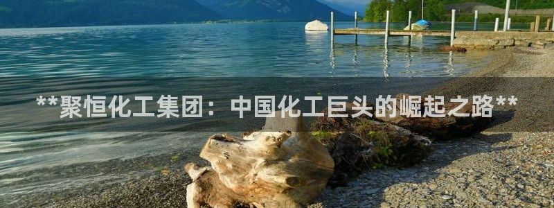 球盟会qmh官网