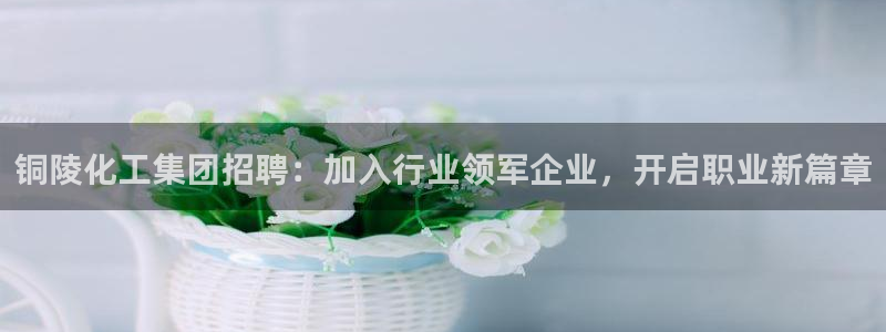 球盟会网址多少