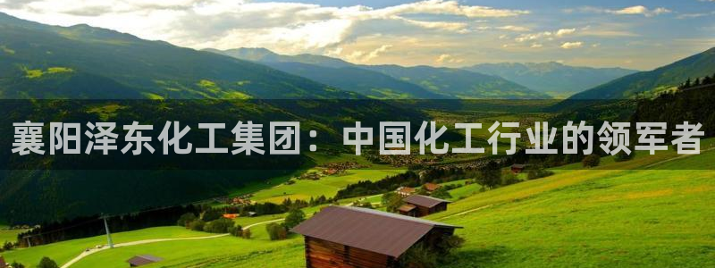球盟会吧