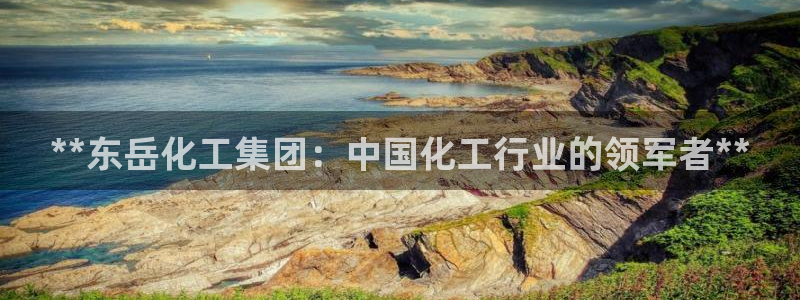千亿球盟会：**东岳化工集团：中国化工行业的领军者**