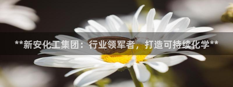 球盟会里面有打牌的嘛是真的吗：**新安化工集团：行业领军者，