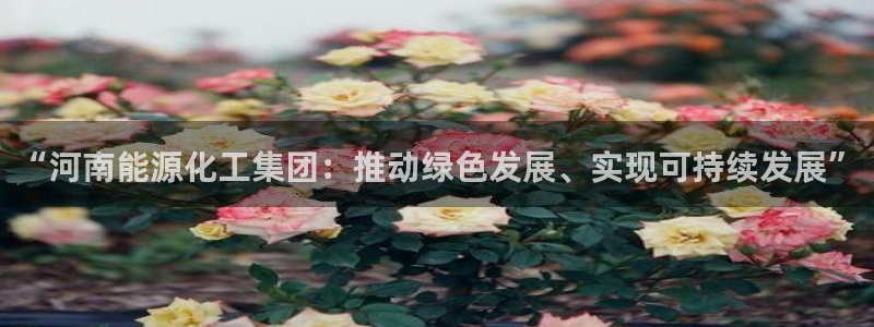 球盟会在线登录：“河南能源化工集团：推动绿色发展、实现可持续