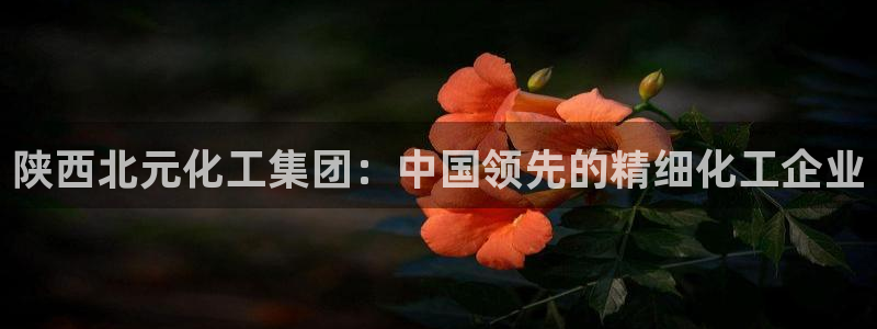 球盟会可以提现么是真的吗