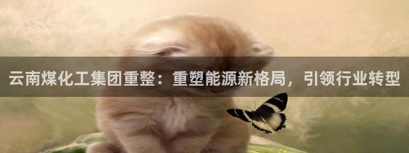 球盟会官网网页版：云南煤化工集团重整：重塑能源新格局，引领行