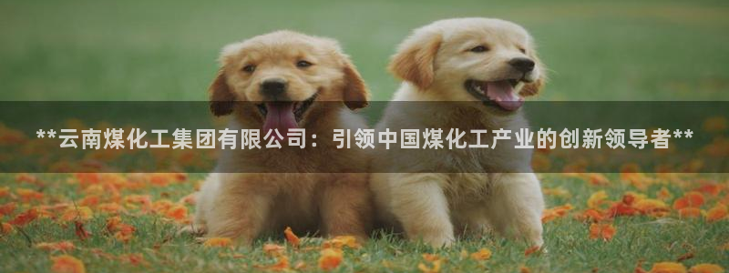 球盟会黑台：**云南煤化工集团有限公司：引领中国煤化工产业的