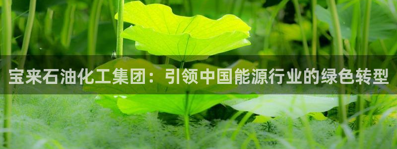 球盟会和中欧