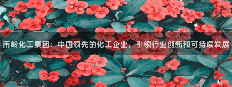 球盟会用的客服聊天是哪个软件