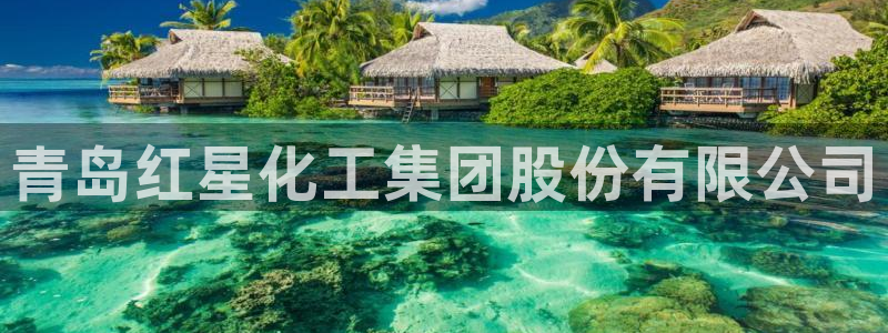球盟会官方平台入口：青岛红星化工集团股份有限公司