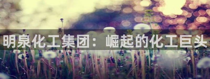 球盟会qmh官网