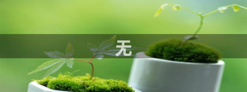 球盟会体验金球奖吗：无