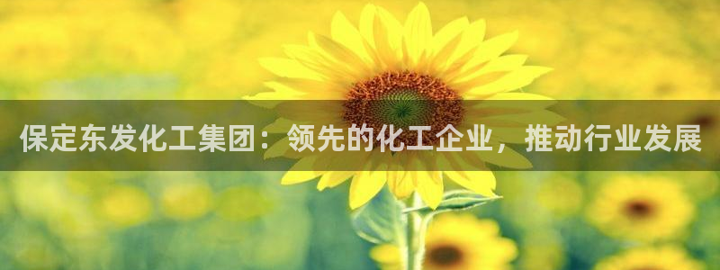 球盟会黑台