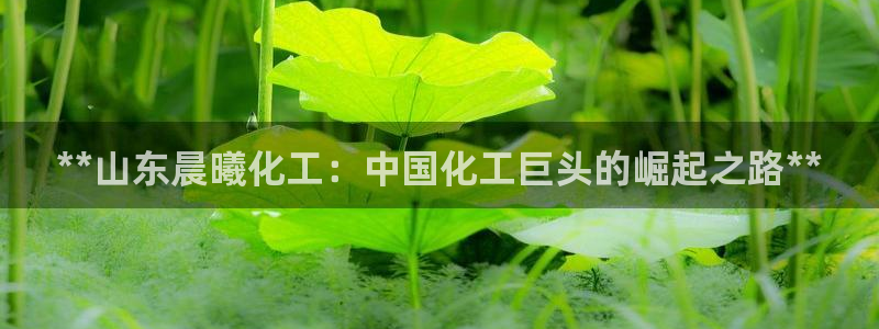 球盟会官方下载