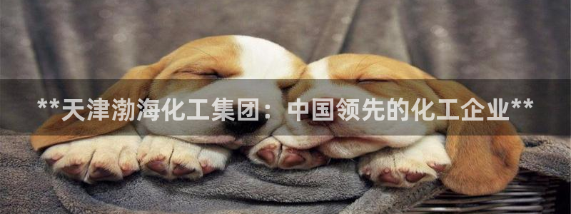 球盟会登陆：**天津渤海化工集团：中国领先的化工企业**