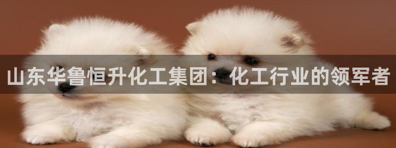 球盟会体验金球奖吗