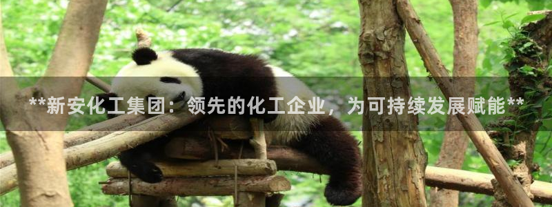 球盟会网页登录app下载地址：**新安化工集团：领先的化工企