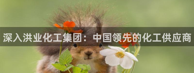 球盟会国际官网