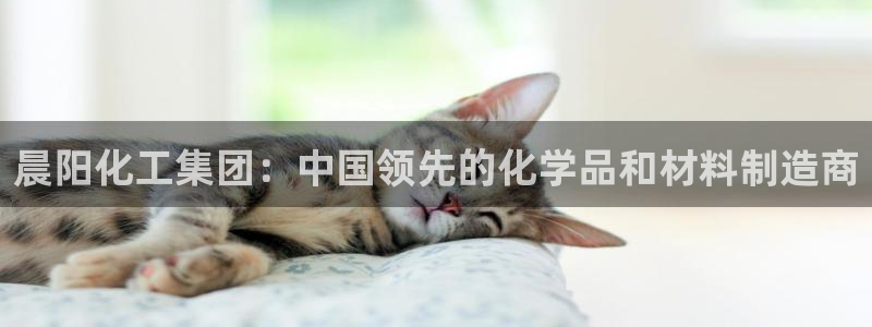 球盟会登录平台：晨阳化工集团：中国领先的化学品和材料制造商
