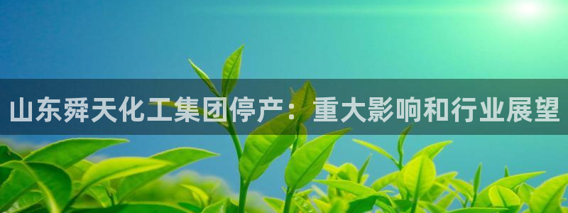 球盟会最新地址备用：山东舜天化工集团停产：重大影响和行业展望