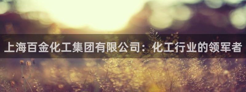 球盟会有没有黑单的球员：上海百金化工集团有限公司：化工行业的