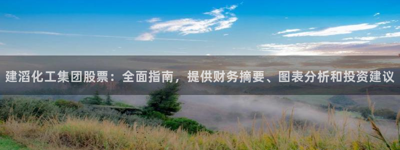 球盟会登录入口：建滔化工集团股票：全面指南，提供财务摘要、图