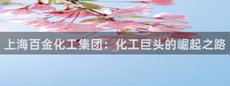 球盟会黑款吗知乎文章