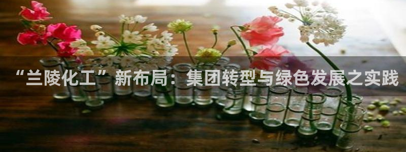 球盟会论坛：“兰陵化工”新布局：集团转型与绿色发展之实践