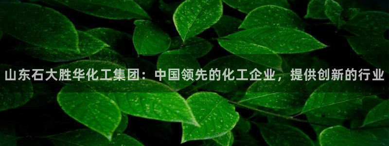 球盟会中国官方网站：山东石大胜华化工集团：中国领先的化工企业