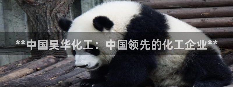 球盟会app入口：**中国昊华化工：中国领先的化工企业**