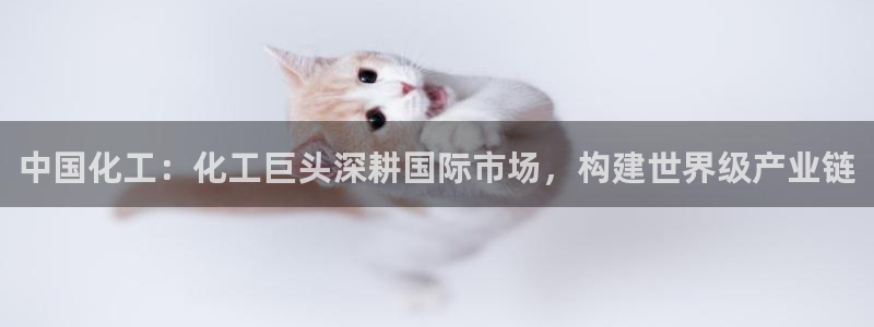 球盟会邮箱