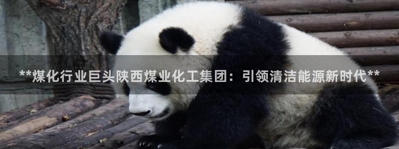 球盟会论坛：**煤化行业巨头陕西煤业化工集团：引领清洁能源新