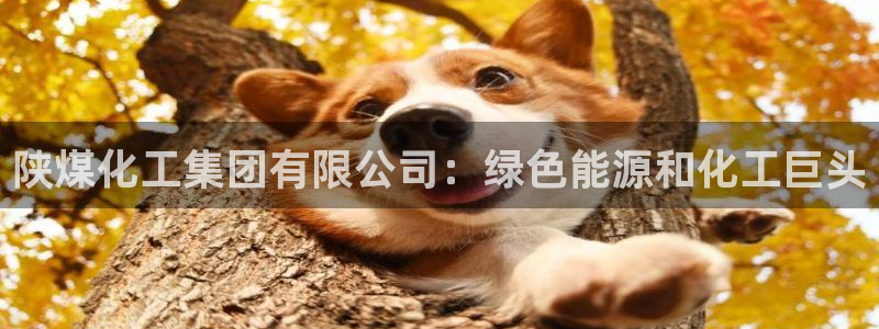 球盟会能提现吗安全吗：陕煤化工集团有限公司：绿色能源和化工巨
