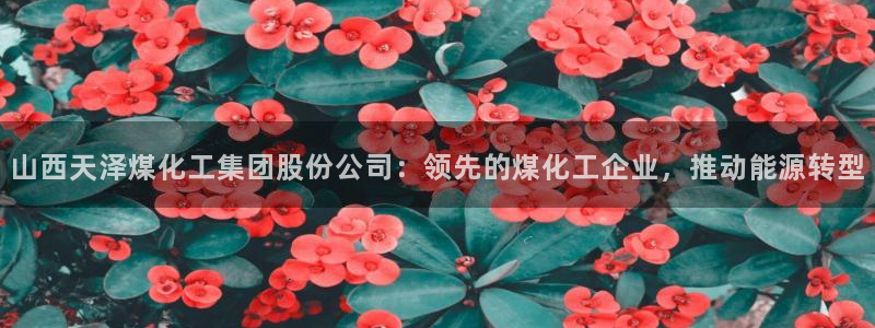 球盟会电子好黑：山西天泽煤化工集团股份公司：领先的煤化工企业