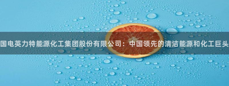 球盟会邮箱：国电英力特能源化工集团股份有限公司：中国领先的清