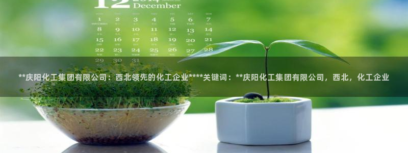 球盟会入口：**庆阳化工集团有限公司：西北领先的化工企业**