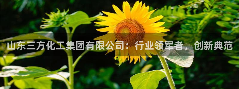 球盟会网址qm9 - 球盟会qmh网页版登录：山东三方化工集