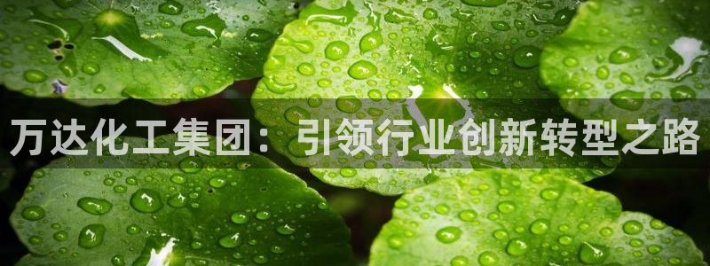 球盟会app网址多少