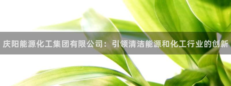 球盟会(中国)官方网站：庆阳能源化工集团有限公司：引领清洁能