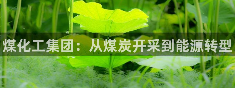 球盟会官方入口