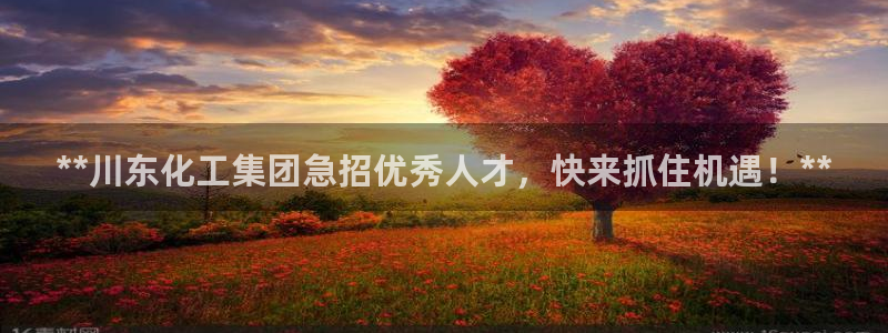 球盟会官网网页版