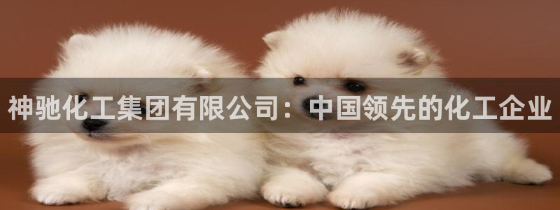 球盟会官网：神驰化工集团有限公司：中国领先的化工企业