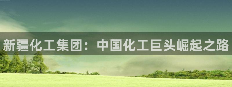 球盟会下载最新版